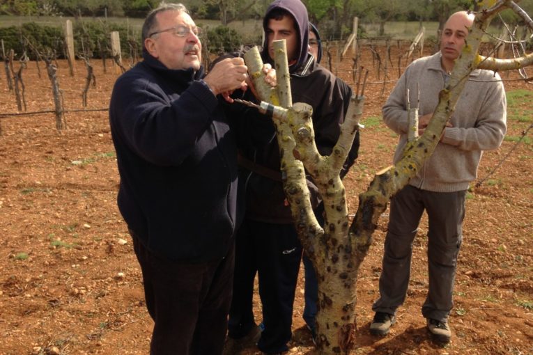 Taller d'empelts de l'Obra Cultiural Balear