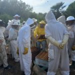 Curs d’apicultura a Campos