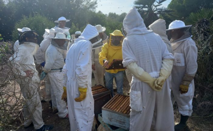 Curs d'apicultura a Campos