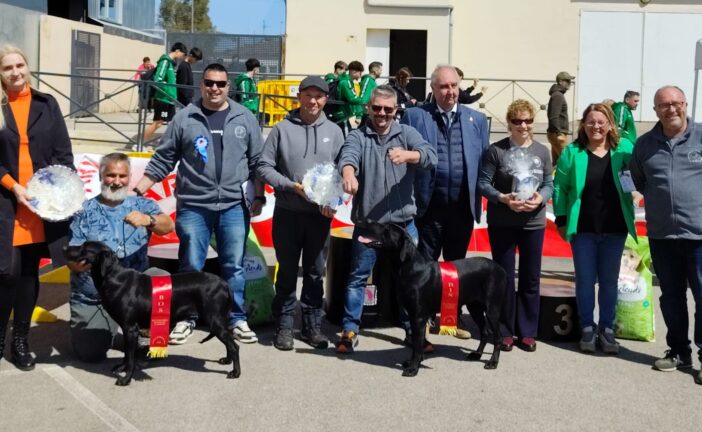 III Concurs Nacional de Pastor Mallorquí a Campos
