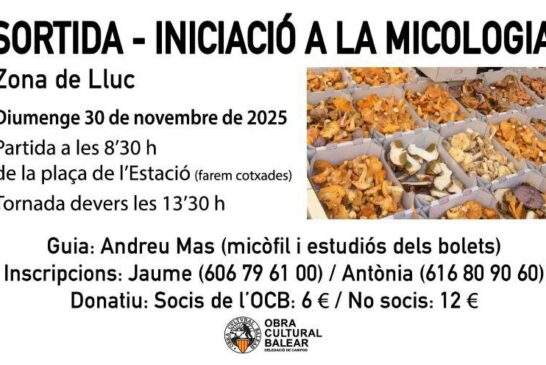 PHOTO-2025-11-20-10-20-28