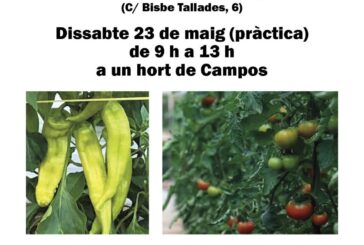 Curset d'hort d'estiu a Campos