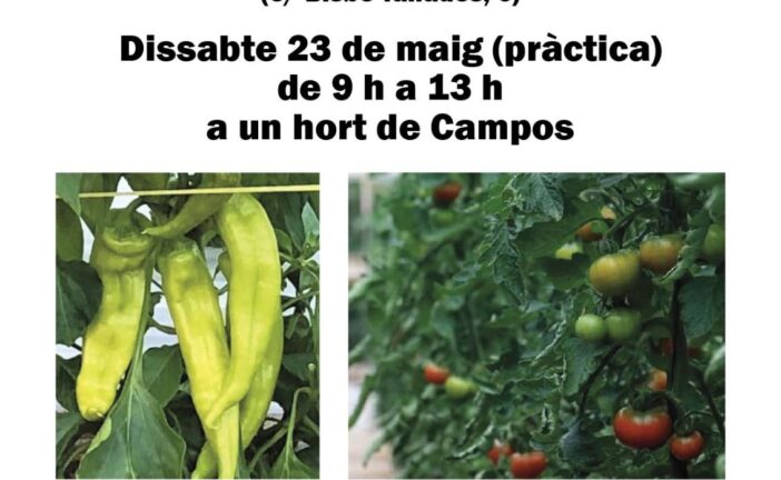 Curset d'hort d'estiu a Campos