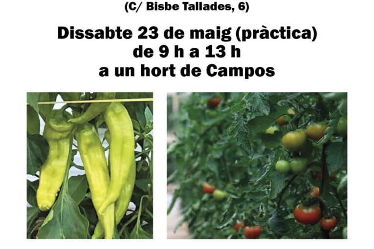 Curset d'hort d'estiu a Campos