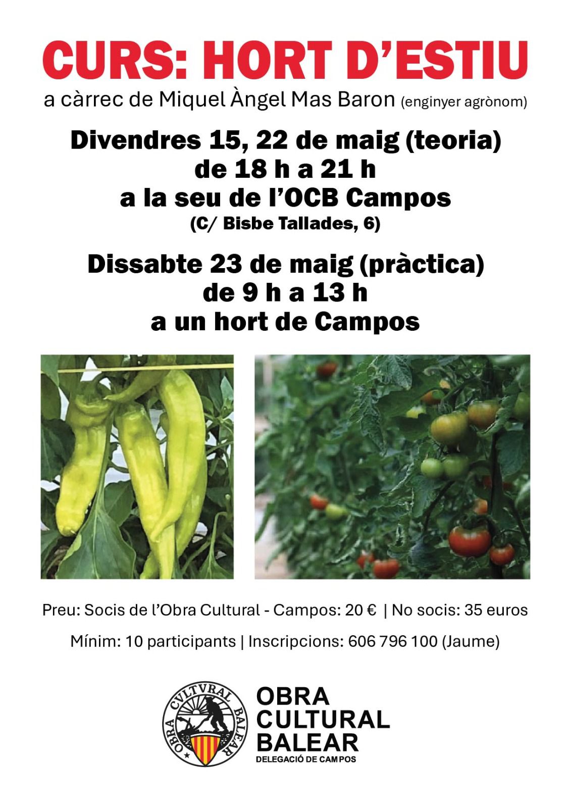 Curset d’hort d’estiu a Campos